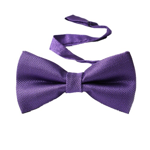 Classy Self Designed Bow Tie, Purple